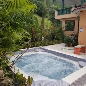 Flor Los Platanos